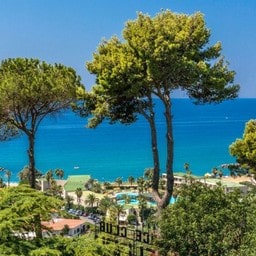 Vista panoramica sul mare da una collina con alberi alti.